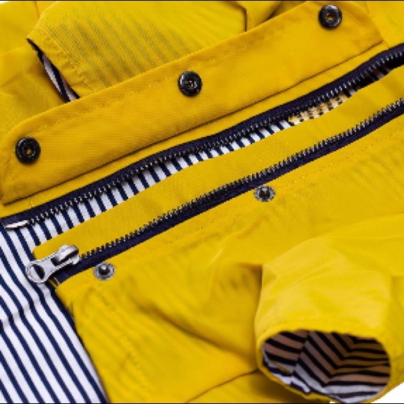 🌼 - Picture 2 of 5